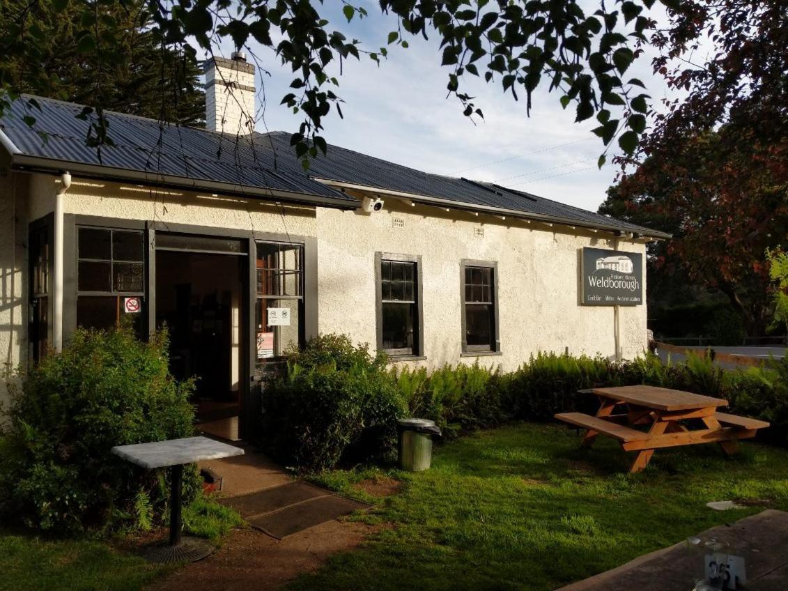 Weldborough Hotel 外观 照片